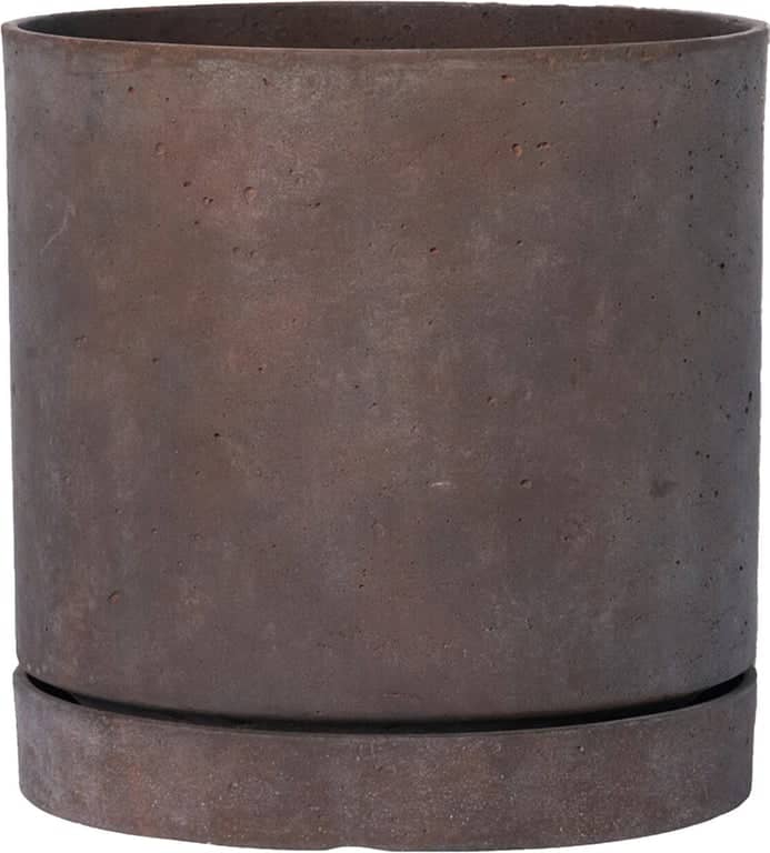 Almo Potter - bilde 1 av 2